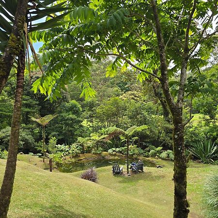 Monteverde Casa Mia, Near Main Attractions And Town! Luaran gambar