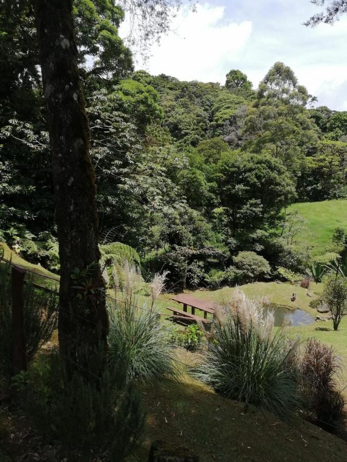 Monteverde Casa Mia, Near Main Attractions And Town! Luaran gambar