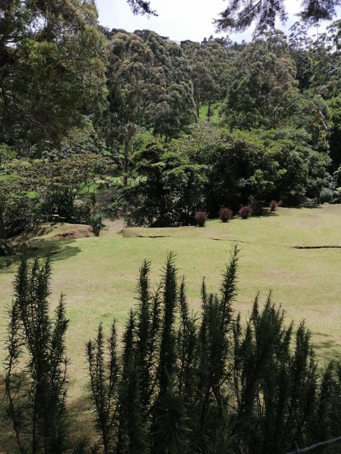Monteverde Casa Mia, Near Main Attractions And Town! Luaran gambar