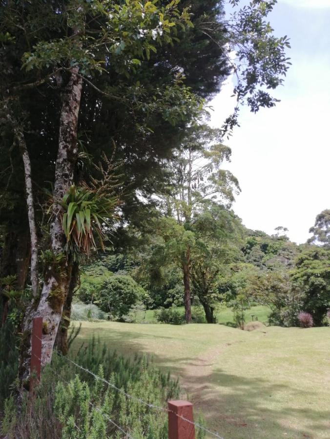 Monteverde Casa Mia, Near Main Attractions And Town! Luaran gambar