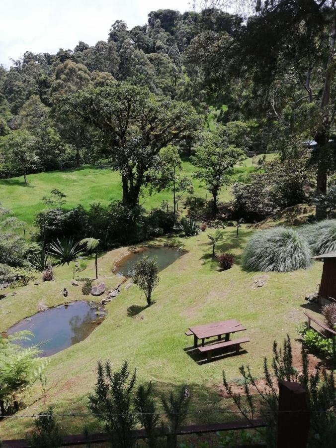 Monteverde Casa Mia, Near Main Attractions And Town! Luaran gambar