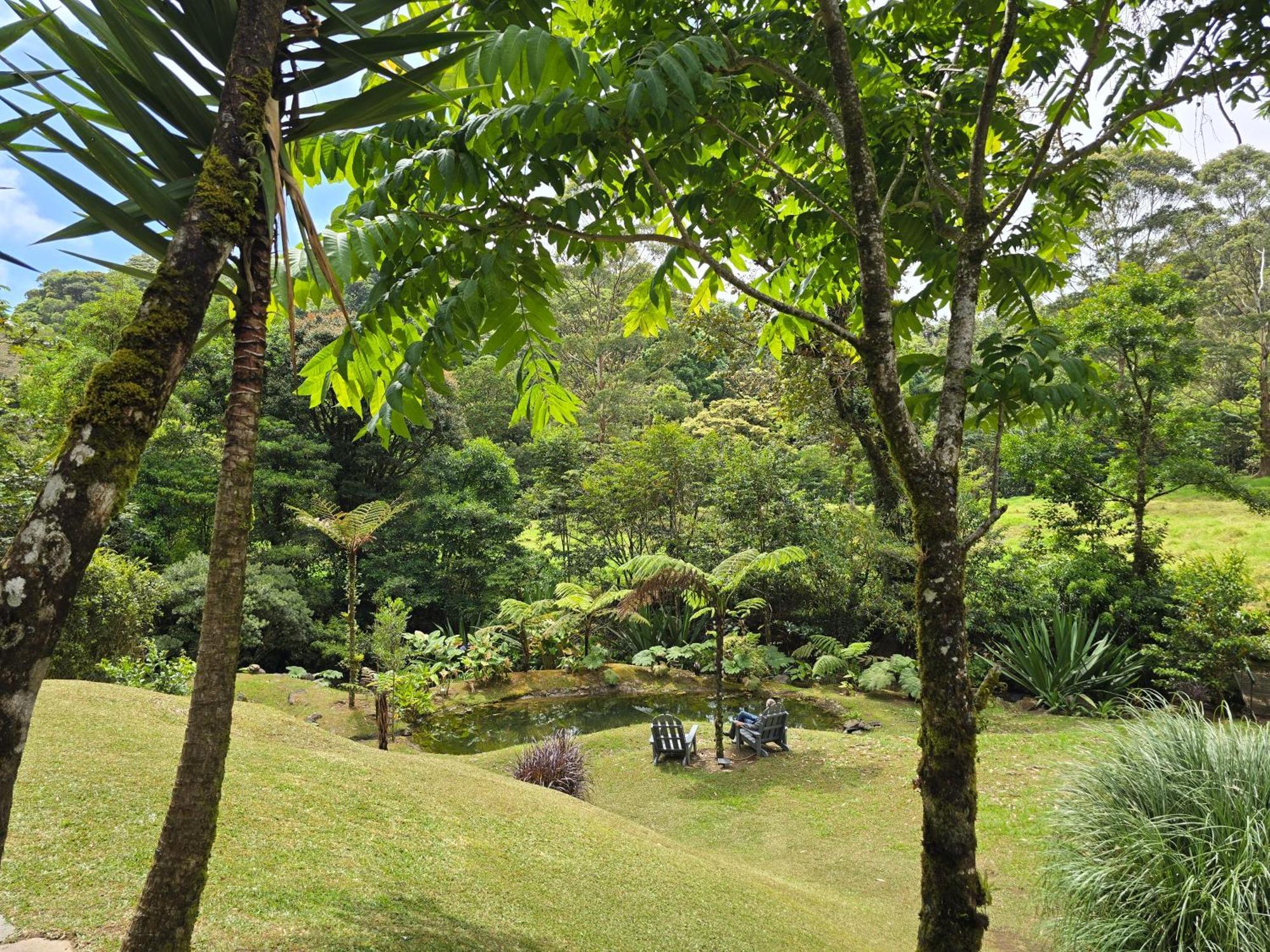 Monteverde Casa Mia, Near Main Attractions And Town! Luaran gambar