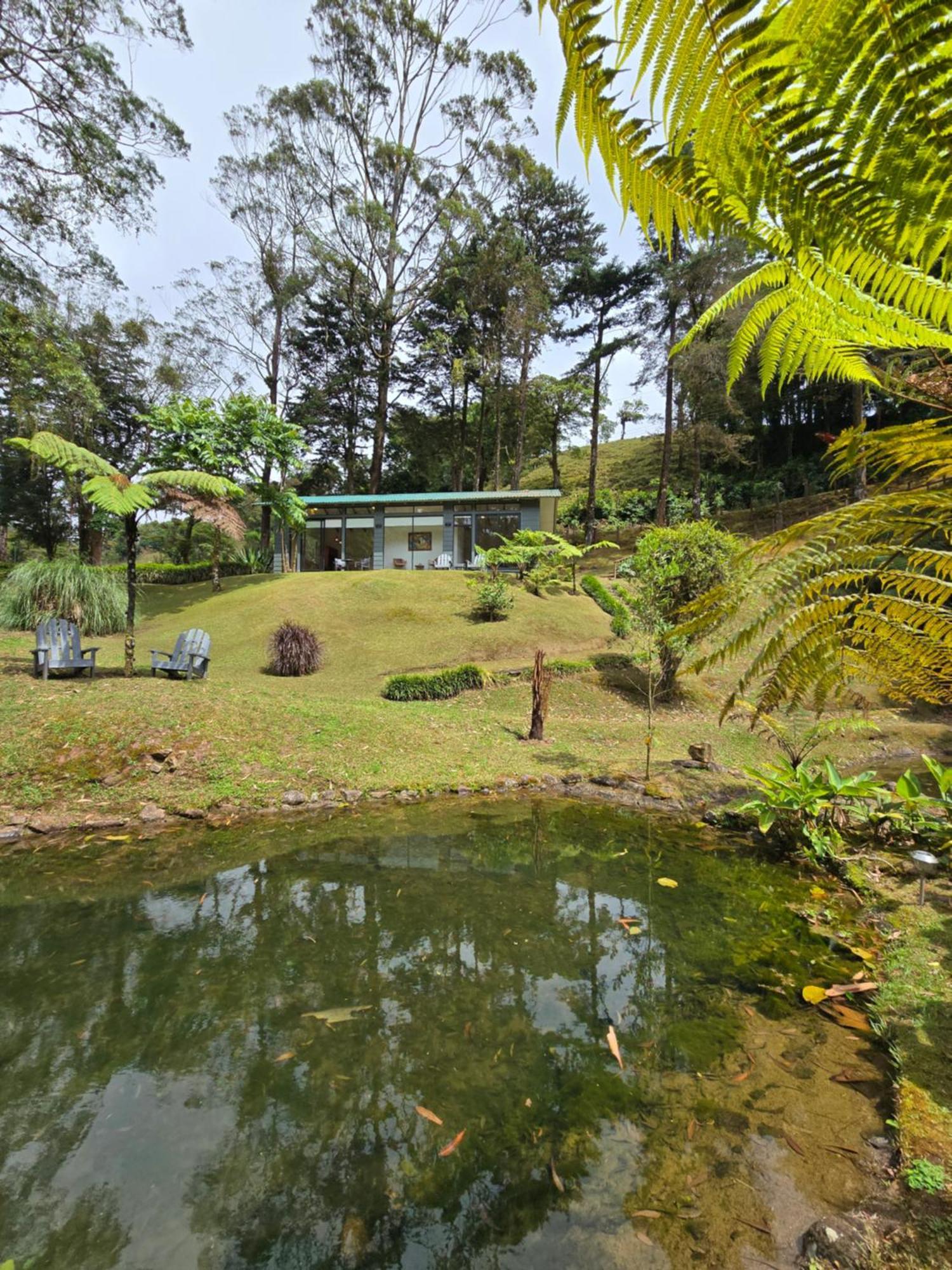 Monteverde Casa Mia, Near Main Attractions And Town! Luaran gambar
