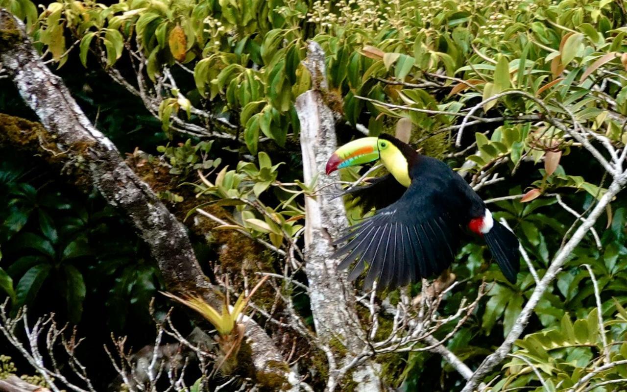 Monteverde Casa Mia, Near Main Attractions And Town! Luaran gambar