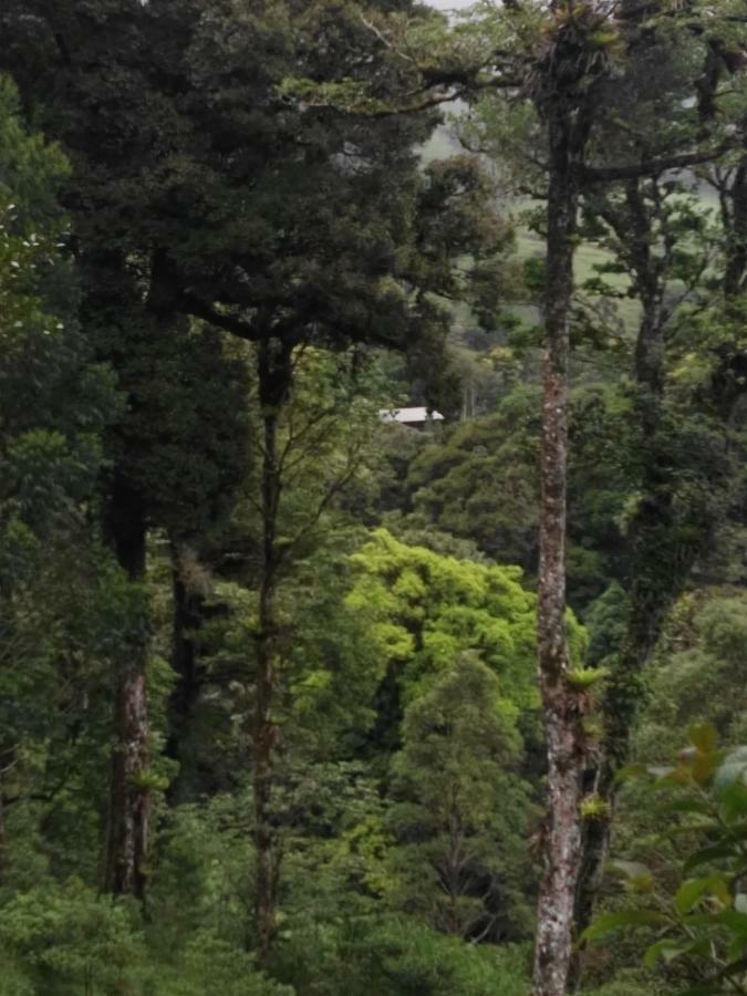 Monteverde Casa Mia, Near Main Attractions And Town! Luaran gambar