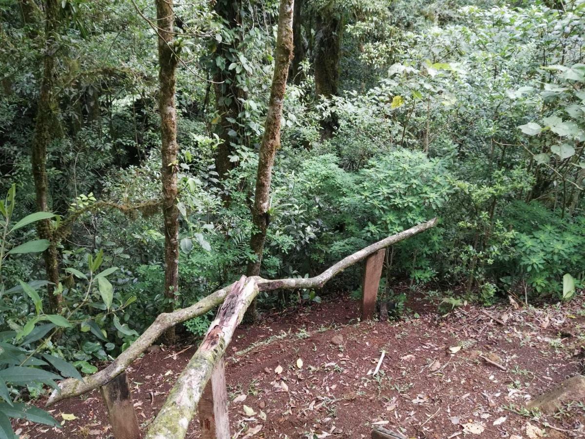 Monteverde Casa Mia, Near Main Attractions And Town! Luaran gambar