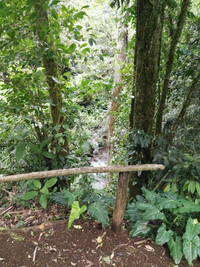 Monteverde Casa Mia, Near Main Attractions And Town! Luaran gambar