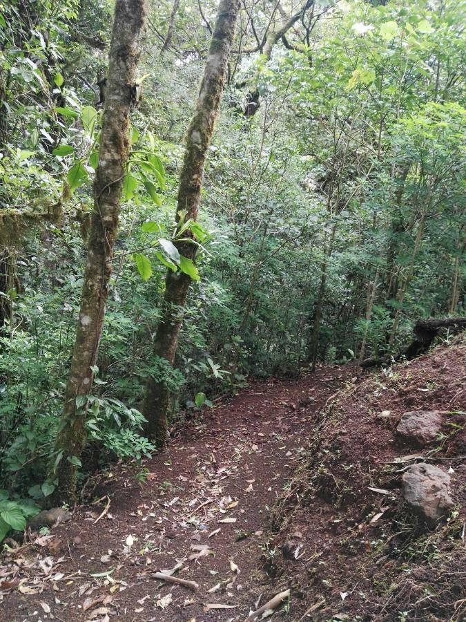 Monteverde Casa Mia, Near Main Attractions And Town! Luaran gambar